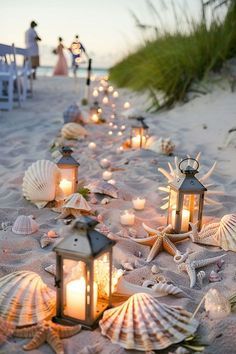 several lanterns and seashells are lined up on the beach