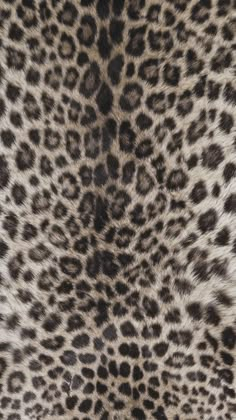 an animal print pattern is shown in brown and white colors on the skin of a cheetah