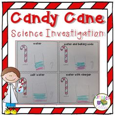 candy cane science investigating the water and baking sodas for kids to use in their classroom