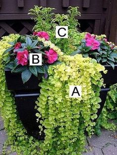 three planters filled with different types of flowers