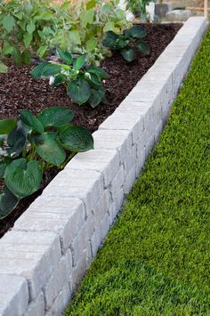 a garden with green grass and brick edgings on the side of a house