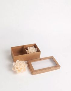 an empty box with two small flowers in it and another one on the table next to it