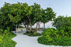 an outdoor area with trees, bushes and benches