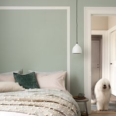 a white dog standing in front of a bed