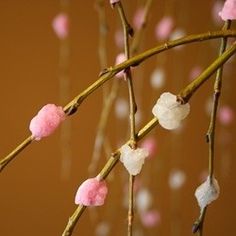 pink and white cotton candy hanging from a branch