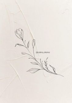 a black and white photo of some flowers on a paper background with the words anatomic journal written below it