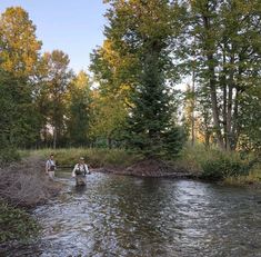 two people crossing a river in the woods