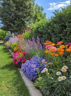 an assortment of colorful flowers in a garden