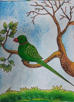 a drawing of a green bird perched on a tree branch