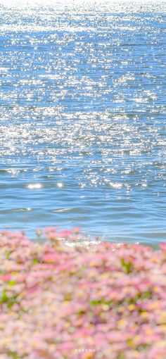 a man riding a surfboard on top of a body of water next to pink flowers