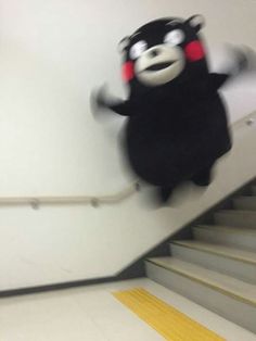 a stuffed animal is riding down the flight of stairs with words below it that read ugyyom lan