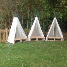 three white tents sitting on top of a green grass covered field next to a wooden fence