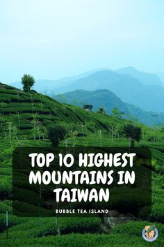 the words top 10 highest mountains in taiwan surrounded by lush green hills and tea bushes