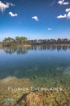 the florida evergladess with clear water and trees in the background