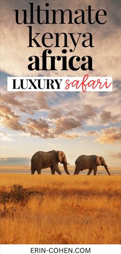 An unforgettable safari in Kenya featuring stunning wildlife and breathtaking landscapes, highlighting top experiences from a luxury Kenya safari to the best Kenya safari destinations. Perfect for planning your next safari vacation. Essential Packing List, Romantic Trips, Weekend Getaways For Couples