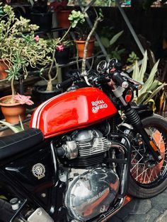 a red and black motorcycle parked next to potted plants