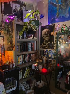 a room filled with lots of books and various decorations on the wall above it is a hanging plant