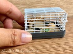 a small bird in a cage is being held by someone's finger on the table