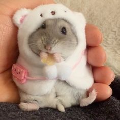 a small toy hamster in a white outfit