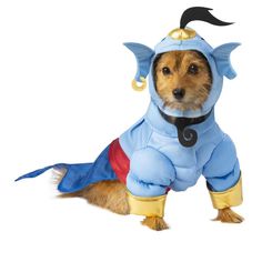 a small dog dressed in a blue costume