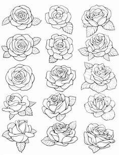 the different types of roses that can be used for tattoos or other things to draw