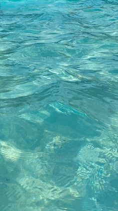 the water is very clear and blue with little ripples on it's surface