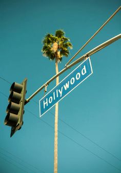 a street sign hanging from a traffic light pole with a palm tree in the background