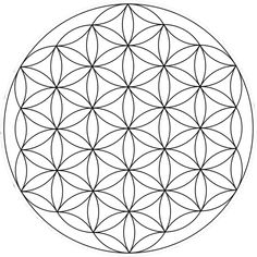 the flower of life is shown in black and white