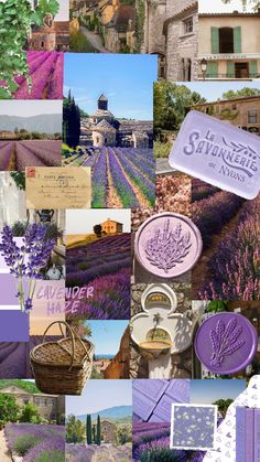 the collage shows lavender fields, buildings, and other things that are in bloom