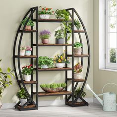 a shelf filled with potted plants next to a window