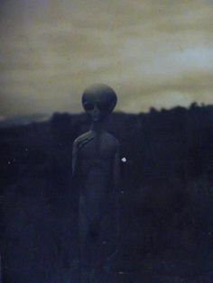 an alien standing in the middle of a field