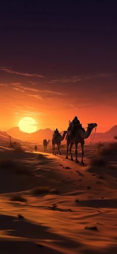 three people riding camels through the desert at sunset