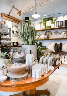 a room filled with lots of different types of items and plants on the shelves next to each other