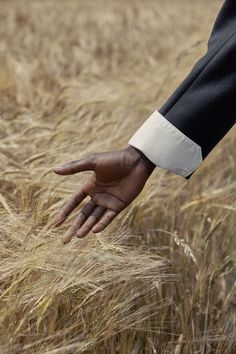 a person in a suit is reaching out to touch the grain on his hand while standing in a field