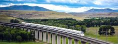 a train traveling over a bridge with mountains in the background and trees on both sides