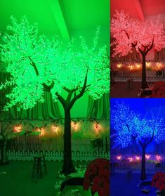 four different trees are lit up in the same color as they appear to be on display