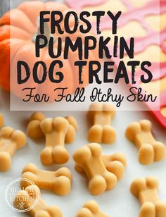 frosty pumpkin dog treats with text overlay that says frosty pumpkin dog treats for fall athy skin