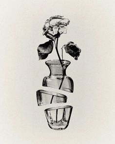 a black and white photo of a flower in a vase with tape wrapped around it