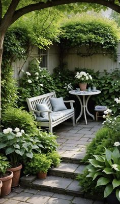 a garden with white flowers and greenery on the walls, plants in potted planters