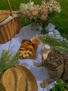 a cat sitting on a blanket next to a basket with flowers and fruit in it