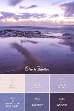 the color palette for stitch baletos is blue, purple, and white with an ocean view