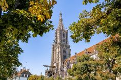 a tall cathedral towering over a city next to trees