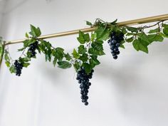 some grapes are hanging from a gold bar with green leaves on the top and bottom