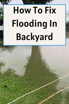 How To Fix Flooding In Backyard Landscaping For Flooding Yard, Yard Flooding Solutions, Flood Plain Landscaping, Backyard Flooding Solutions, How To Stop Backyard From Flooding, Home Flood Prevention, Grading Yard For Drainage, Drainage Solutions Landscaping, Lawn Care Schedule