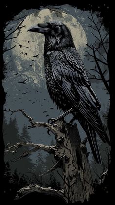 a black bird sitting on top of a tree branch in front of a full moon