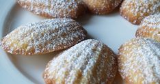 powdered sugar covered donuts on a white plate