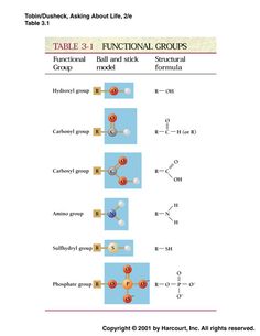 the table 3 functional groups are shown in this diagram, which shows how each group is represented