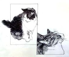 a black and white drawing of a cat looking at another cat