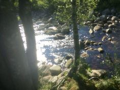 the sun shines on rocks and water in this stream