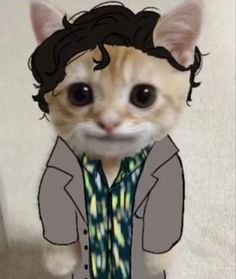 a cat wearing a shirt and tie with the caption'may 2 / @ amaymemee may 13 my name is stevens grant, i'm